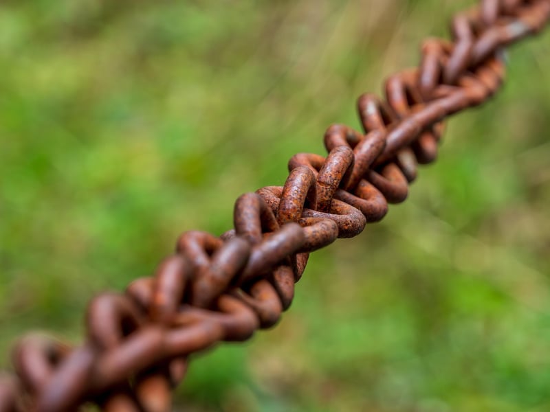 Building Connections